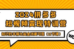 （9817期）2024拼多多短视频变现特训营，知识的丰厚比起金钱更可靠（11节课）[中创网]