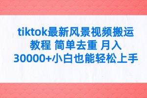 （9804期）tiktok最新风景视频搬运教程 简单去重 月入30000+附全套工具[中创网]