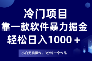 （9791期）冷门项目，靠一款软件暴力掘金日入1000＋，小白轻松上手第二天见收益[中创网]