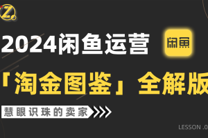 （9738期）2024闲鱼运营，【淘金图鉴】全解版[中创网]