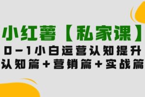 （9910期）小红薯【私家课】0-1玩赚小红书内容营销，认知篇+营销篇+实战篇（11节课）[中创网]