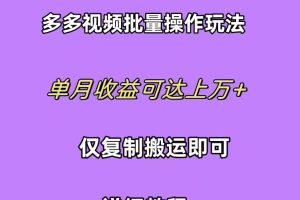 （10029期）拼多多视频带货快速过爆款选品教程 每天轻轻松松赚取三位数佣金 小白必…[中创网]