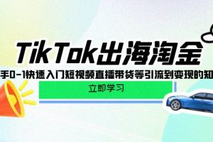 （10035期）TikTok-出海淘金，新手0-1快速入门短视频直播带货等引流到变现的知识[中创网]