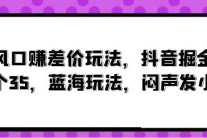 （10022期）风口赚差价玩法，抖音掘金，一个35，蓝海玩法，闷声发小财[中创网]