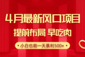 （10137期）28.4月最新风口项目，提前布局早吃肉，小白也能一天暴利500+[中创网]