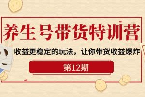 （10110期）养生号带货特训营【12期】收益更稳定的玩法，让你带货收益爆炸-9节直播课[中创网]