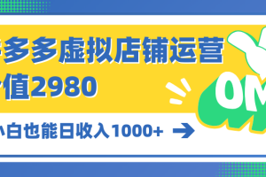 （10120期）拼多多虚拟店铺运营：小白也能日收入1000+[中创网]