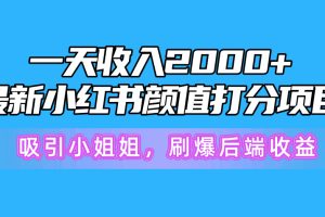 （10187期）一天收入2000+，最新小红书颜值打分项目，吸引小姐姐，刷爆后端收益[中创网]