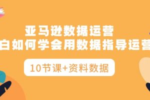 （10158期）亚马逊数据运营，小白如何学会用数据指导运营（10节课+资料数据）[中创网]