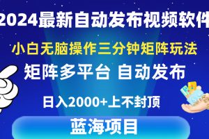 （10166期）2024最新视频矩阵玩法，小白无脑操作，轻松操作，3分钟一个视频，日入2k+[中创网]