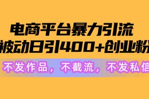 （10168期）电商平台暴力引流,被动日引400+创业粉不发作品，不截流，不发私信[中创网]