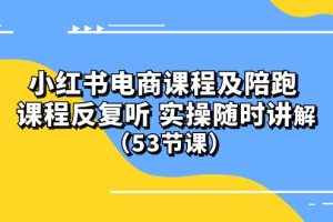 (10170期）小红书电商课程及陪跑 课程反复听 实操随时讲解 （53节课）[中创网]