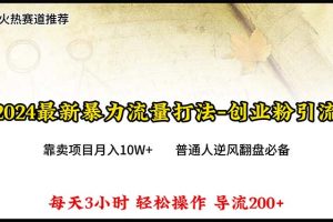 （10151期）2024年最新暴力流量打法，每日导入300+，靠卖项目月入10W+[中创网]