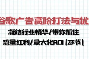 （10287期）谷歌广告高阶打法与优化，凝结行业精华/带你抓住流量红利/最大化ROI(23节)[中创网]