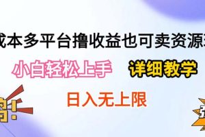 （10293期）0成本多平台撸收益也可卖资源玩法，小白轻松上手。详细教学日入500+附资源[中创网]