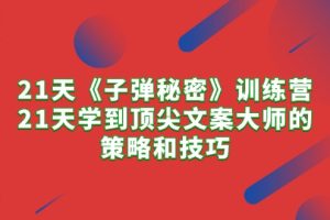 （10209期）21天《子弹秘密》训练营，21天学到顶尖文案大师的策略和技巧[中创网]