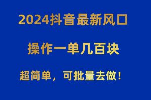 （10413期）2024抖音最新风口！操作一单几百块！超简单，可批量去做！！！[中创网]