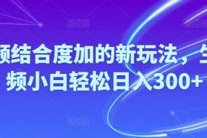 （10418期）Ai视频结合度加的新玩法,生成视频小白轻松日入300+[中创网]