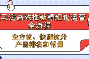 （10554期）亚马逊-高效推新精细化 运营全流程，全方位、快速 拉升产品排名和销量[中创网]