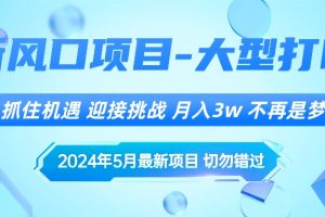 （10597期）2024年5月最新风口项目，抓住机遇，迎接挑战，月入3w+，不再是梦[中创网]