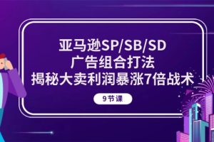 （10687期）亚马逊SP/SB/SD广告组合打法，揭秘大卖利润暴涨7倍战术 (9节课)[中创网]