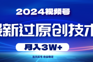 （10704期）2024视频号最新过原创技术，当天起号，收益稳定，月入3W+[中创网]