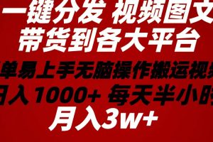 （10667期）2024年 一键分发带货图文视频  简单易上手 无脑赚收益 每天半小时日入1…[中创网]