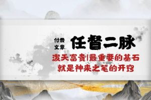 （10659期）某付费文章《任督 二脉 泼天富贵|最重要的基石 就是神来之笔的开窍|万字》[中创网]