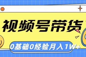 （10723期）视频号轻创业带货，零基础，零经验，月入1w+[中创网]