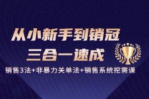 （10799期）从小新手到销冠 三合一速成：销售3法+非暴力关单法+销售系统挖需课 (27节)[中创网]