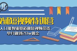 （10801期）教辅-短视频特训营： 素人口播教辅赛道做短视频带货，单月做到20w佣金[中创网]