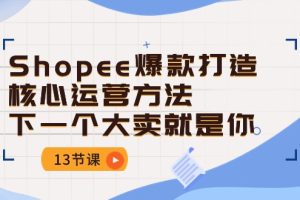 （10777期）Shopee-爆款打造核心运营方法，下一个大卖就是你（13节课）[中创网]