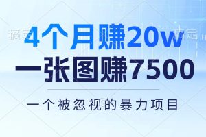 （10765期）4个月赚20万！一张图赚7500！多种变现方式，一个被忽视的暴力项目[中创网]