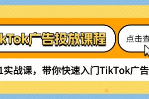 （10731期）TikTok广告投放课程，从0-1实战课，带你快速入门TikTok广告投放（30节课）[中创网]