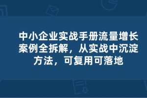 （10889期）中小 企业 实操手册-流量增长案例拆解，从实操中沉淀方法，可复用可落地[中创网]