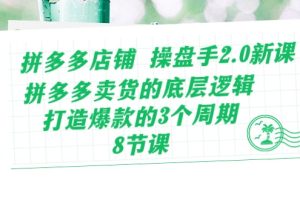 （10859期）拼多多店铺 操盘手2.0新课，拼多多卖货的底层逻辑，打造爆款的3个周期-8节[中创网]