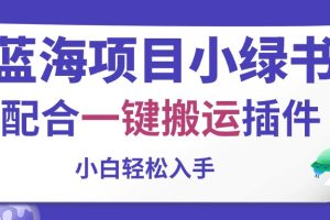 （10841期）蓝海项目小绿书，配合一键搬运插件，小白轻松入手[中创网]