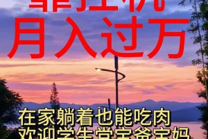 （10838期）靠挂机，日入1000+，躺着也能吃肉，适合宝爸宝妈学生党工作室，电脑手…[中创网]