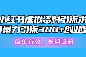 （10941期）小红书虚拟资料引流术，日暴力引流300+创业粉，简单有效，长期吸粉[中创网]