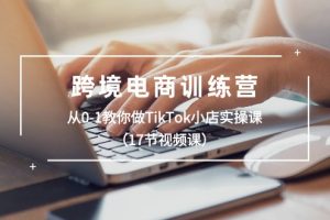 （10946期）跨境电商训练营：从0-1教你做TikTok小店实操课（17节视频课）[中创网]