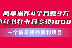 （11048期）简单操作4个月赚9万！小红书打卡日变现1000+！一个被忽视的暴力项目[中创网]