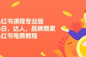 （11022期）小红书课程专业版，小白，达人，品牌商家，小红书电商教程（15节）[中创网]