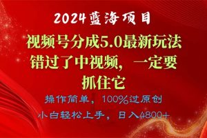 （11032期）2024蓝海项目，视频号分成计划5.0最新玩法，错过了中视频，一定要抓住…[中创网]