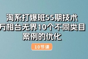 （10996期）淘系打爆班55期技术：万相台无界10个不同类目案例的优化（10节）[中创网]