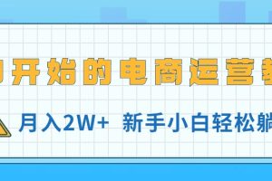 （11081期）从0开始的电商运营教学，月入2W+，新手小白轻松躺赚[中创网]