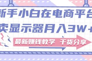 （11053期）新手小白如何做到在电商平台卖显示器月入3W+，最新赚钱教学干货分享[中创网]