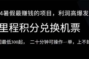 （10995期）2024暑假最暴利的项目，目前做的人很少，一单利润300+，二十多分钟可操…[中创网]