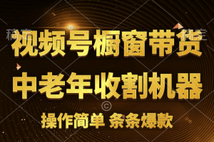 （11009期）视频号最火爆赛道，橱窗带货，流量分成计划，条…[中创网]