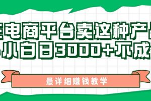 （11206期）最新在电商平台发布这种产品，新手小白日入3000+不成问题，最详细赚钱教学[中创网]