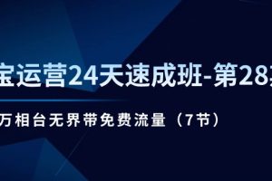 （11182期）淘宝运营24天速成班-第28期：最新万相台无界带免费流量（7节）[中创网]